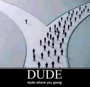 DUDE