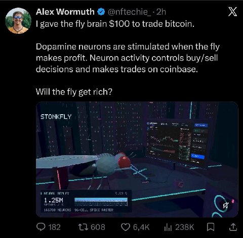 бауе the Ну brain $100 to trade bitcoin. Dopamine neurons are stimulated when {Не fly makes profit. Neuron activity controls buy/sell decisions and makes trades on coinbase. Will the fly get rich?