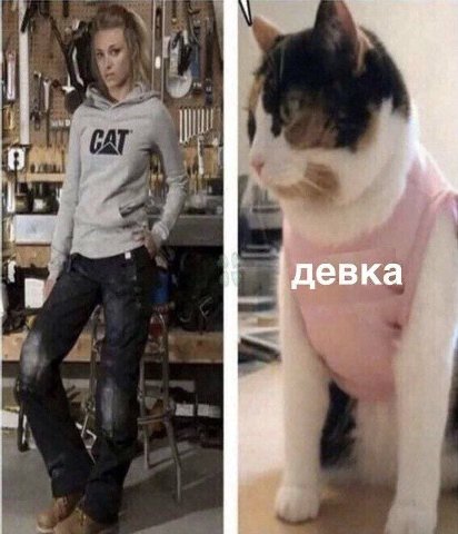 0 девка