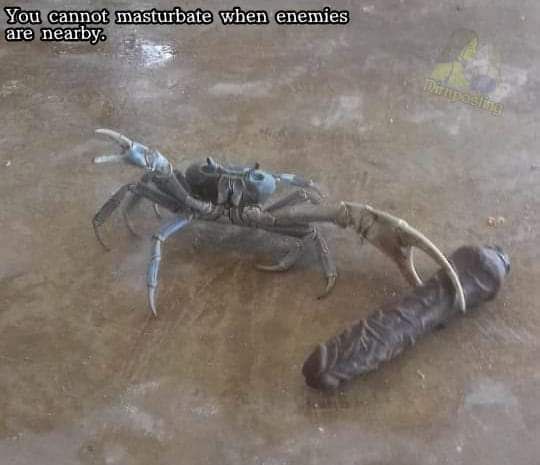 You cannot masturbate when are nearby.