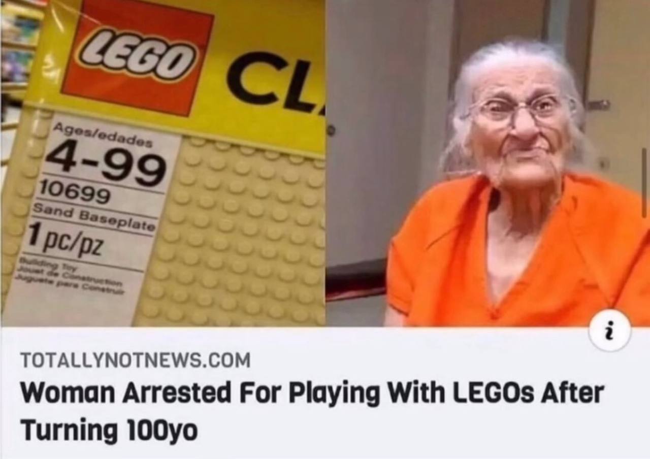 TOTALLYNOTNEWS.COM Woman Arrested For Playing With LEGOs After Turning