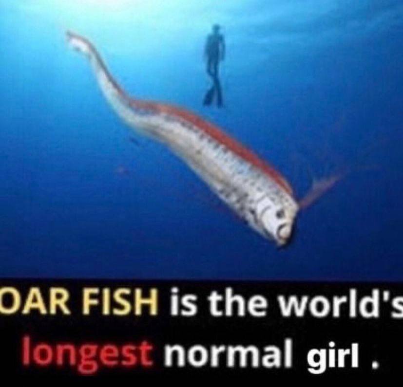 ОАК FISH is the world's normal дит.