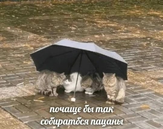 почаще так содиратдся