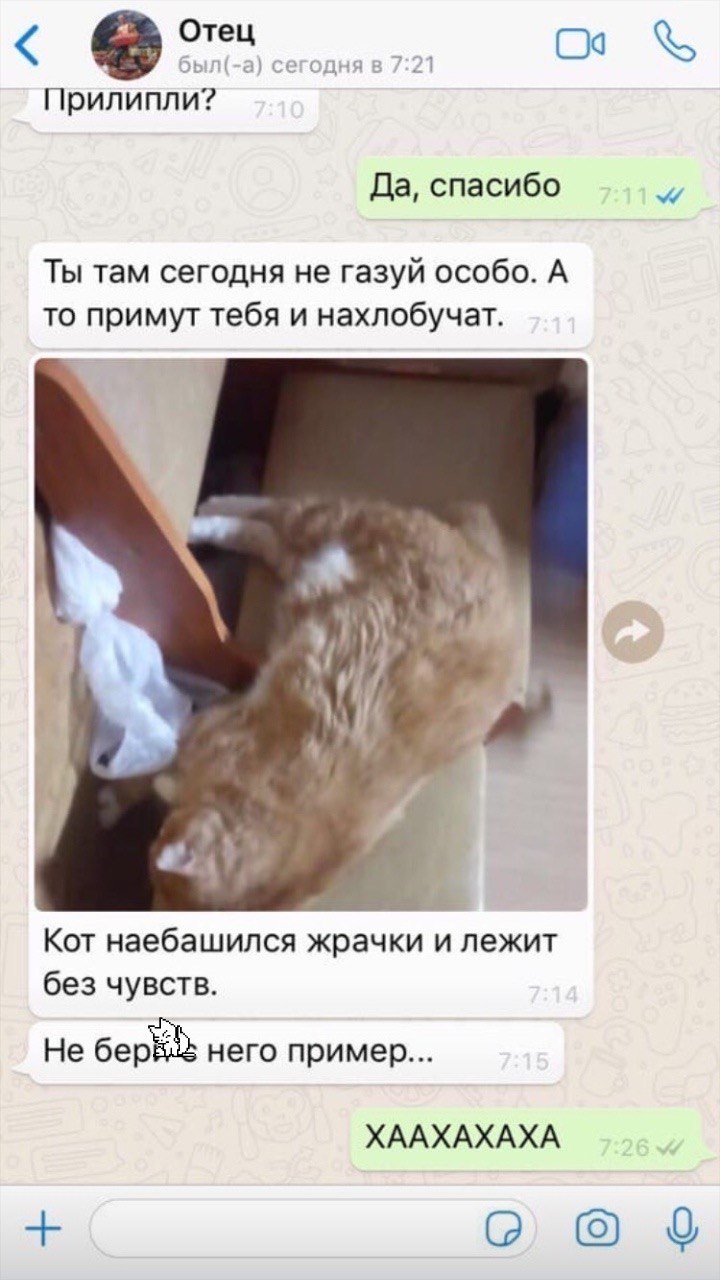прилипли? Да, спасибо Ты там сегодня не газуй особо. А то примут тебя и нахлобучат. к 4 а #24} Кот наебашился жрачки и лежит без чувств. Не него пример... ХААХАХАХА