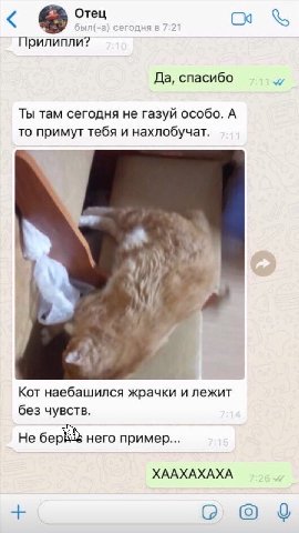 прилипли? Да, спасибо Ты там сегодня не газуй особо. А то примут тебя и нахлобучат. к 4 а #24} Кот наебашился жрачки и лежит без чувств. Не него пример... ХААХАХАХА