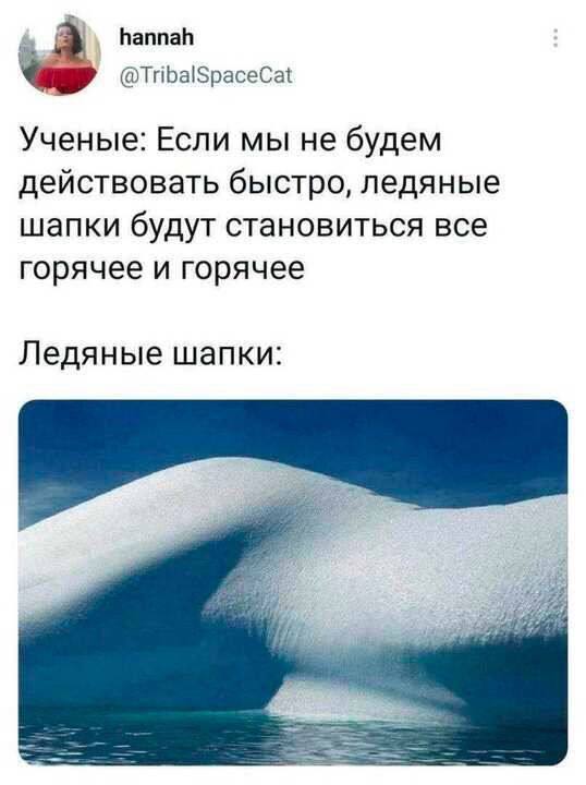 hannah @TribalSpaceCat Ученые: Если мы He будем действовать быстро, ледяные шапки будут становиться все горячее и горячее Ледяные шапки:
