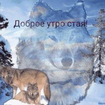 Добр