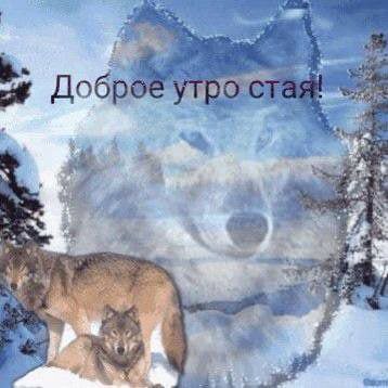 Добр