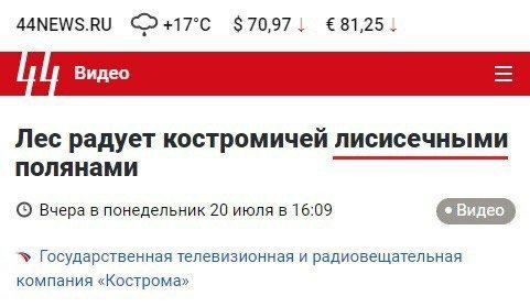 44NEWS.RU $70,971 {81,25 Лес радует костромичей лисисечными полянами Вчера в понедельник 20 июля в 16:09 Государственная телевизионная и радиовещательная компания «Кострома»