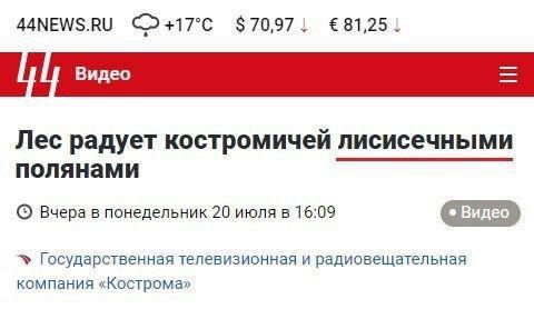 44NEWS.RU $70,971 {81,25 Лес радует костромичей лисисечными полянами Вчера в понедельник 20 июля в 16:09 Государственная телевизионная и радиовещательная компания «Кострома»