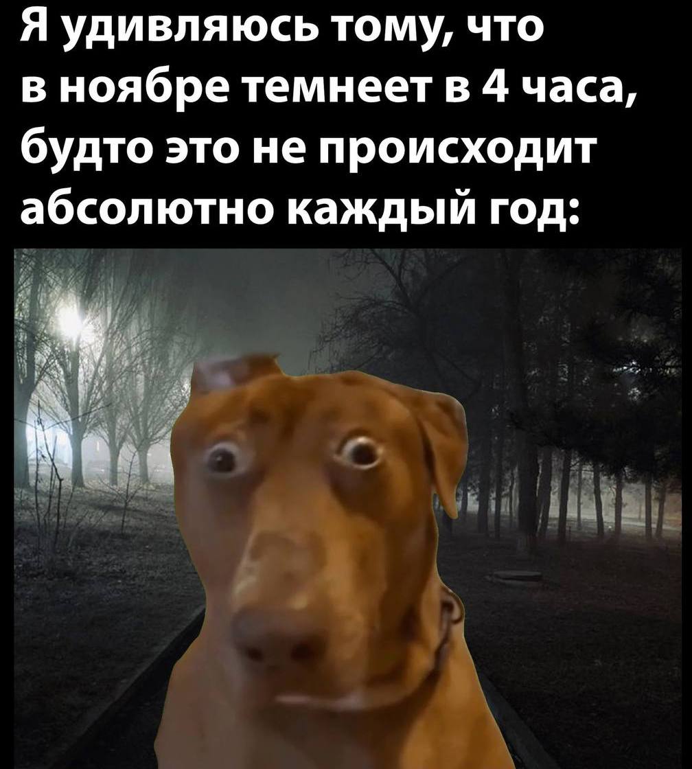 Я удивляюсь тому, что в ноябре темнеет в 4 часа, будто это не происходит абсолютно каждый год: