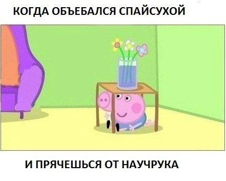 КОГДА ОБЪЕБАЛСЯ СПАЙСУХОЙ И ПРЯЧЕШЬСЯ НАУЧРУКА