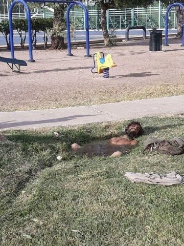 Обычный день на полигоне