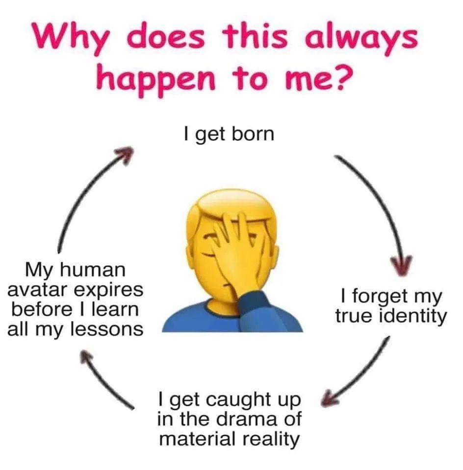 🤦‍♂️