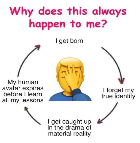 🤦‍♂️