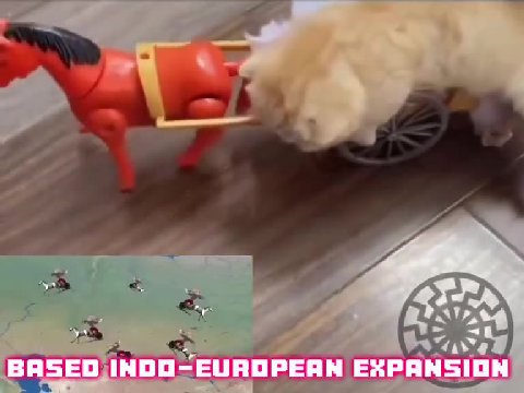 BASED |INDO-EUR OPER М EXPANSION