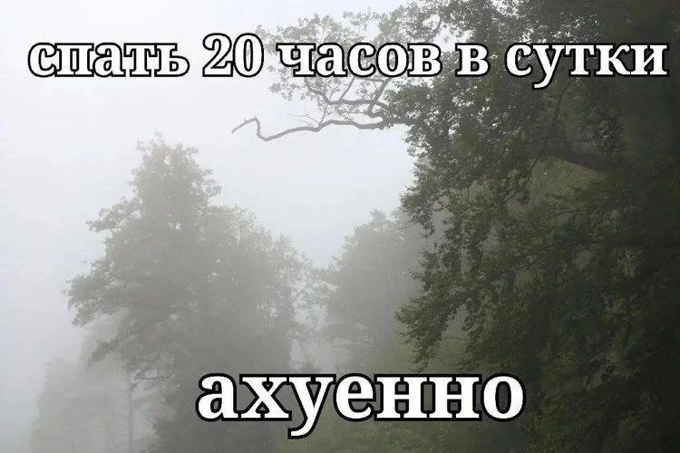сутки 2 a к. ахуенно