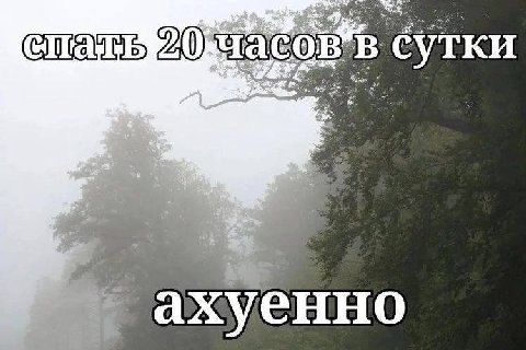 сутки 2 a к. ахуенно