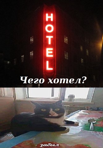 Чего хотел?
