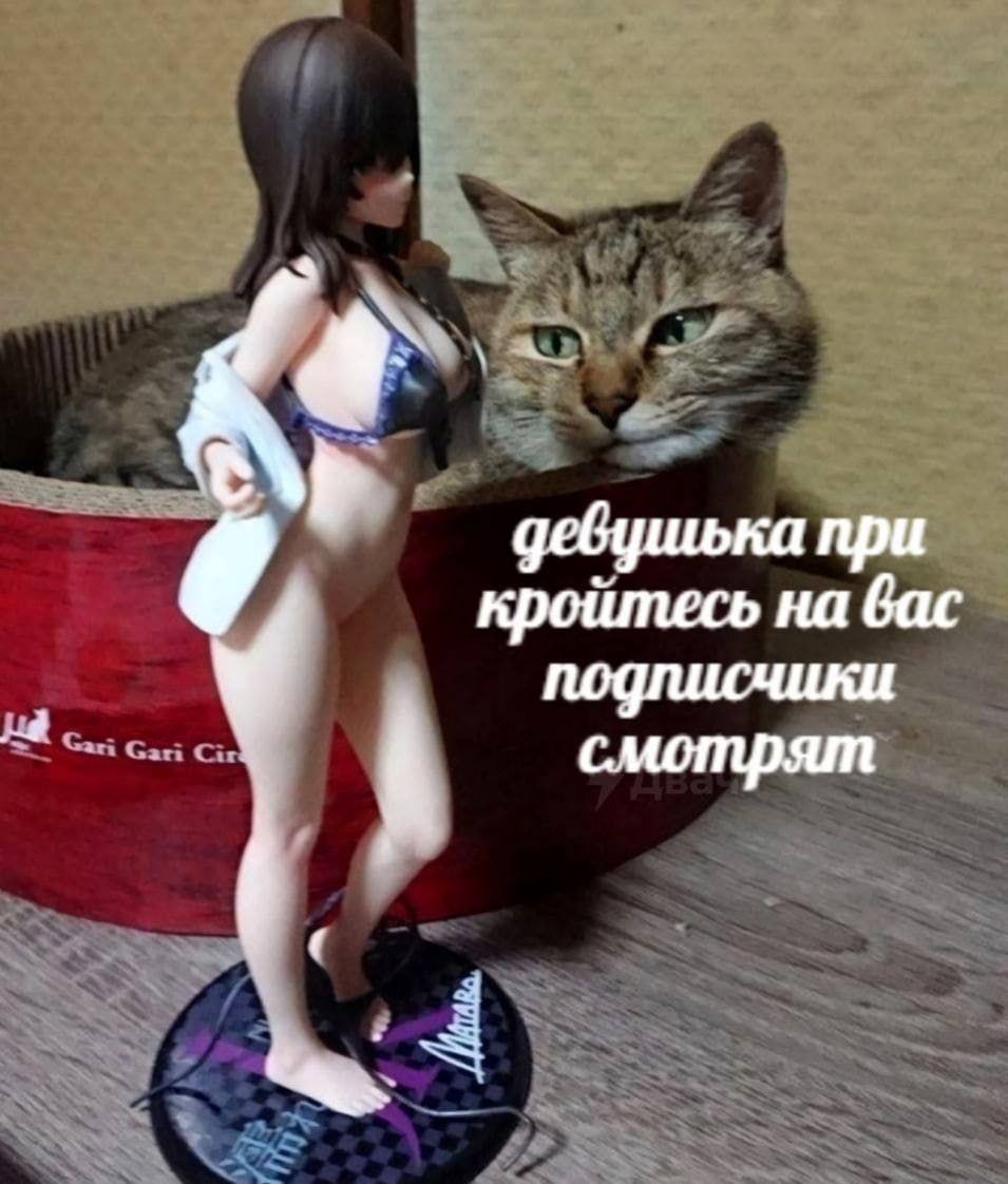 9 кройтесь на вас девушька при у подписчики смотрят