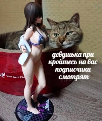 9 кройтесь на вас девушька при у подписчики смотрят