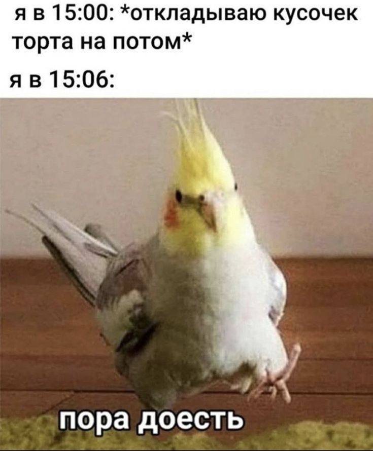 15:00: *откладываю кусочек торта на потом* 15:06: пора доесть