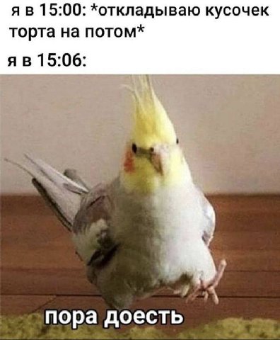 15:00: *откладываю кусочек торта на потом* 15:06: пора доесть