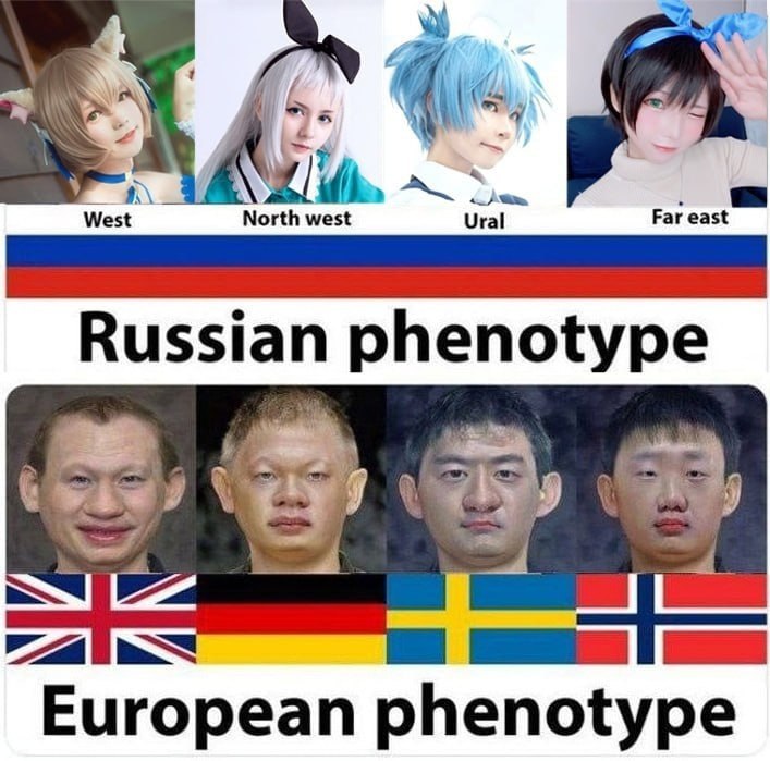West North west ral Far east European phenotype