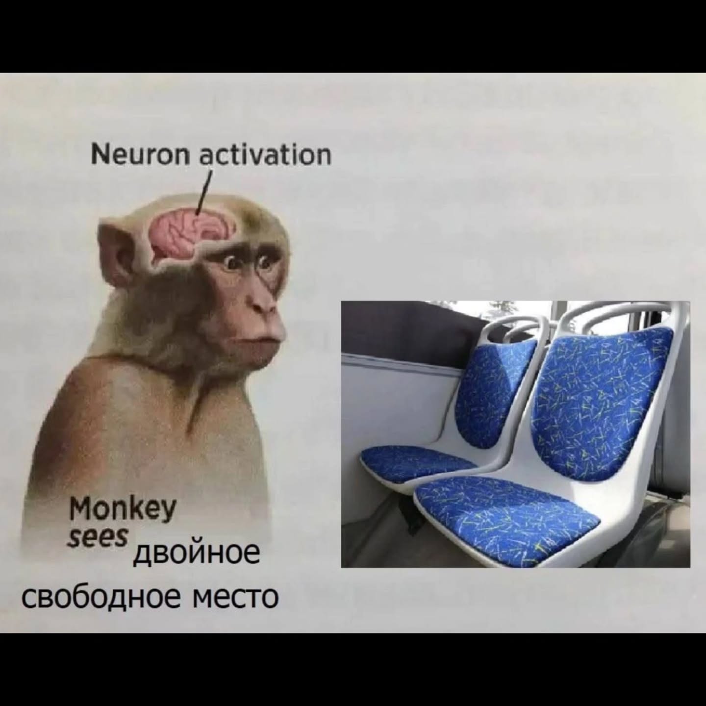 Neuron activation SEES двойное свободное место