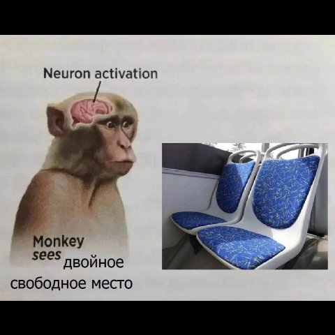 Neuron activation SEES двойное свободное место