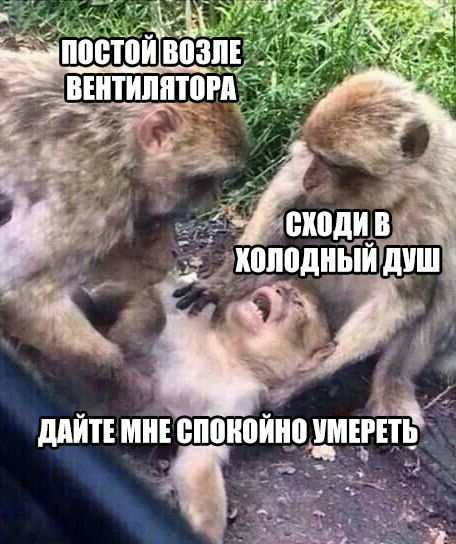 ПОСТОИ ВОЗЛЕ ВЕНТИЛЯТОРА 2 в ДУШ ДАИТЕ МНЕ СПОНОИНО УМЕРЕТЬ