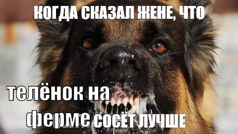 КОГДА ЧТО на. ферме СОСЕТ ЛУЧШЕ