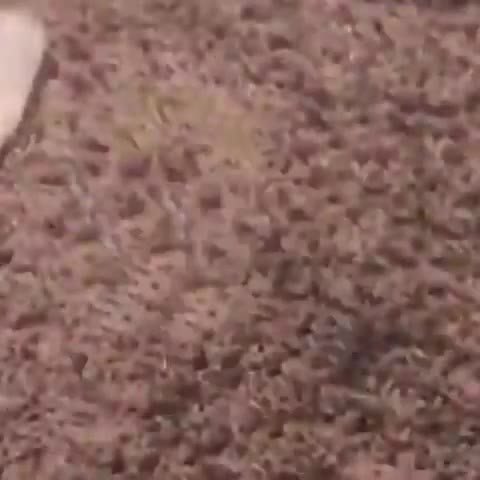 мем