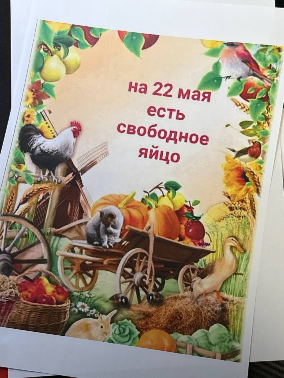 a На 22 мая 7 2 Яйцо of