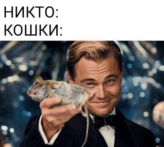 о 4