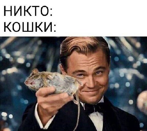 о 4