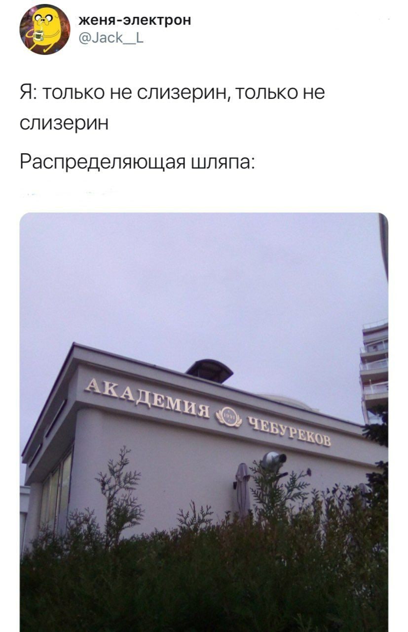 женя-электрон @Jack_L Я: только не слизерин, только не слизерин Распределяющая шляпа: А PEKoR