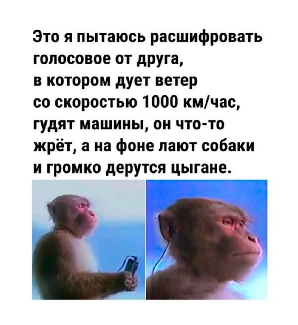 Это я пытаюсь расшифровать голосовое от друга, в котором дует ветер скоростью 1000 км/час, гудят машины, он что-то жрёт, ана фоне лают собаки и громко дерутся цыгане.