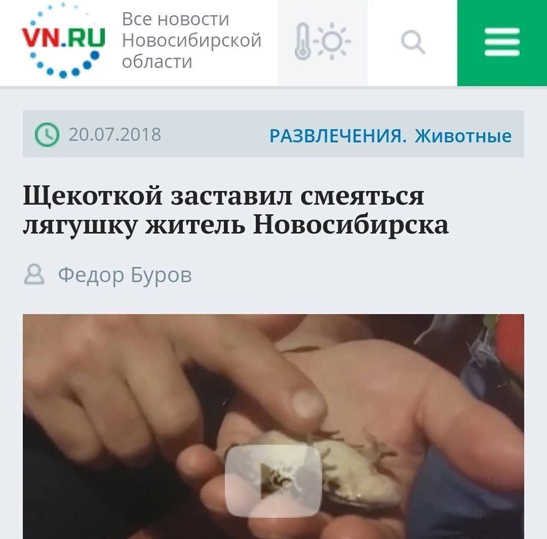 Все новости новосибирской области 20.07.2018 РАЗВЛЕЧЕНИЯ. Животные Щекоткой заставил смеяться лягушку житель Новосибирска Федор Буров