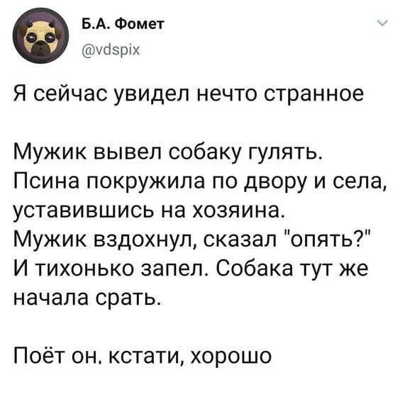 Фомет У @vdspix Я сейчас увидел нечто странное Мужик вывел собаку гулять. Псина покружила по двору и села, уставившись на хозяина. Мужик вздохнул, сказал "опять?" И тихонько запел. Собака тут же начал