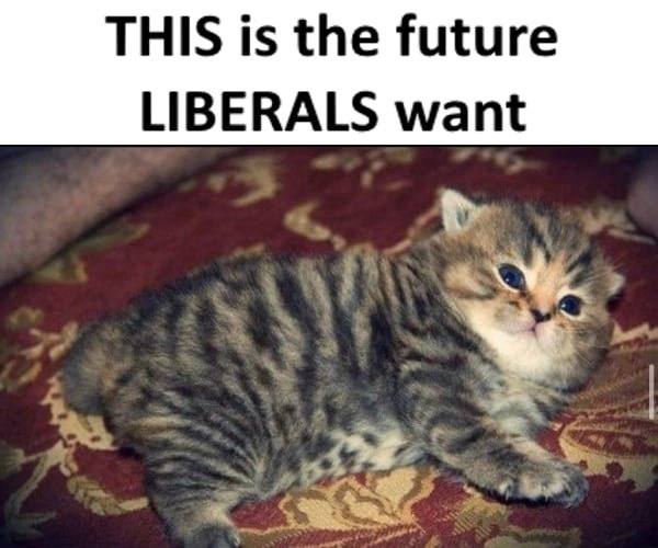 THIS is the future LIBERALS want