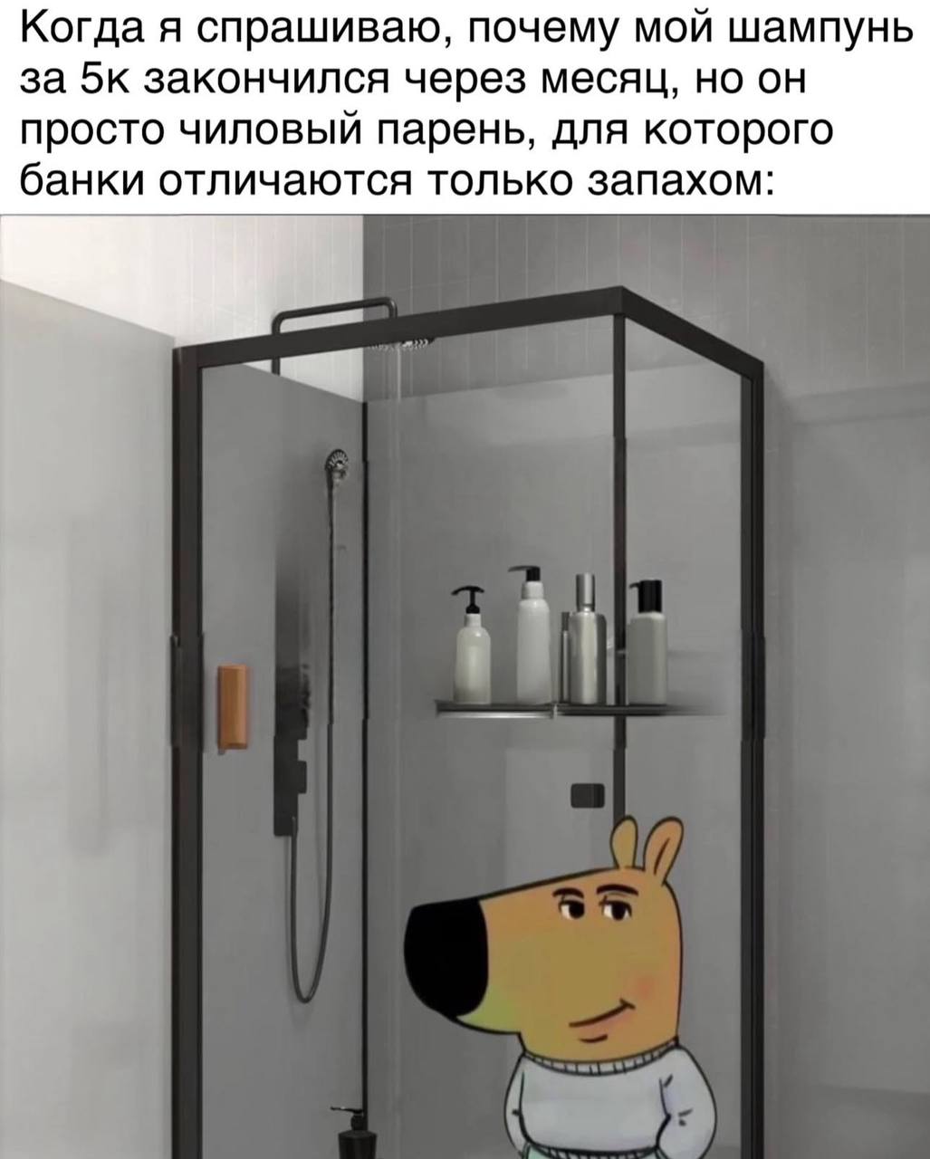 Когда я спрашиваю, почему мой шампунь за 5к закончился через месяц, но он просто чиловый парень, для которого банки отличаются только запахом: