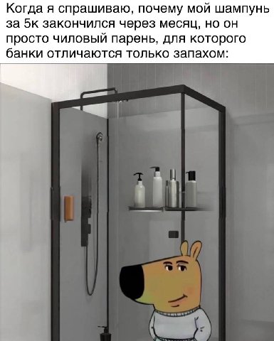 Когда я спрашиваю, почему мой шампунь за 5к закончился через месяц, но он просто чиловый парень, для которого банки отличаются только запахом: