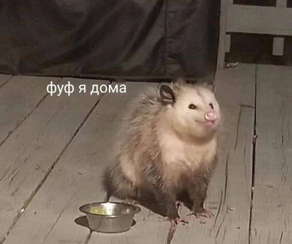 фуф я дома