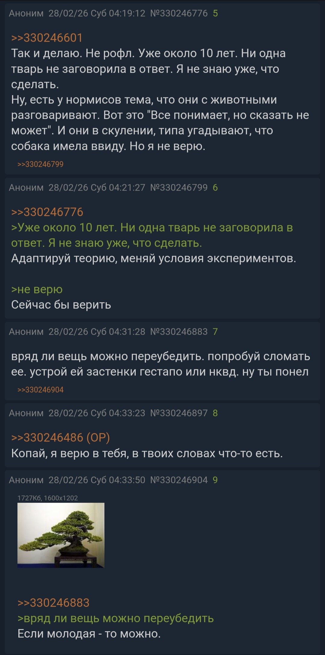 Аноним 28/02/26 Суб 04:19:12 №330246776 5 >>330246601 Так и делаю. Не рофл. Уже около 10 лет. Ни одна тварь не заговорила в ответ. Я не знаю уже, что сделать. Ну, есть у нормисов тема, что они с живот