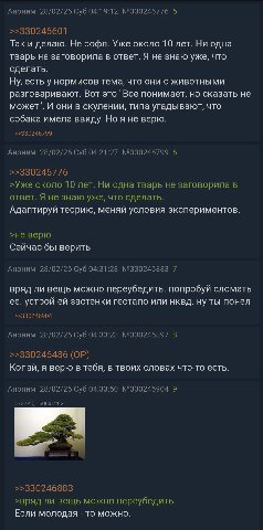 Аноним 28/02/26 Суб 04:19:12 №330246776 5 >>330246601 Так и делаю. Не рофл. Уже около 10 лет. Ни одна тварь не заговорила в ответ. Я не знаю уже, что сделать. Ну, есть у нормисов тема, что они с живот