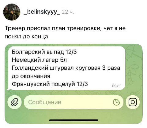 _belinskyyy_ 22 Тренер прислал план тренировки, чет A не понял до конца Болгарский выпад 12/3 Немецкий лагер Голландский штурвал круговая 3 раза до окончания Французский поцелуй 12/3 69:1 Сообщение