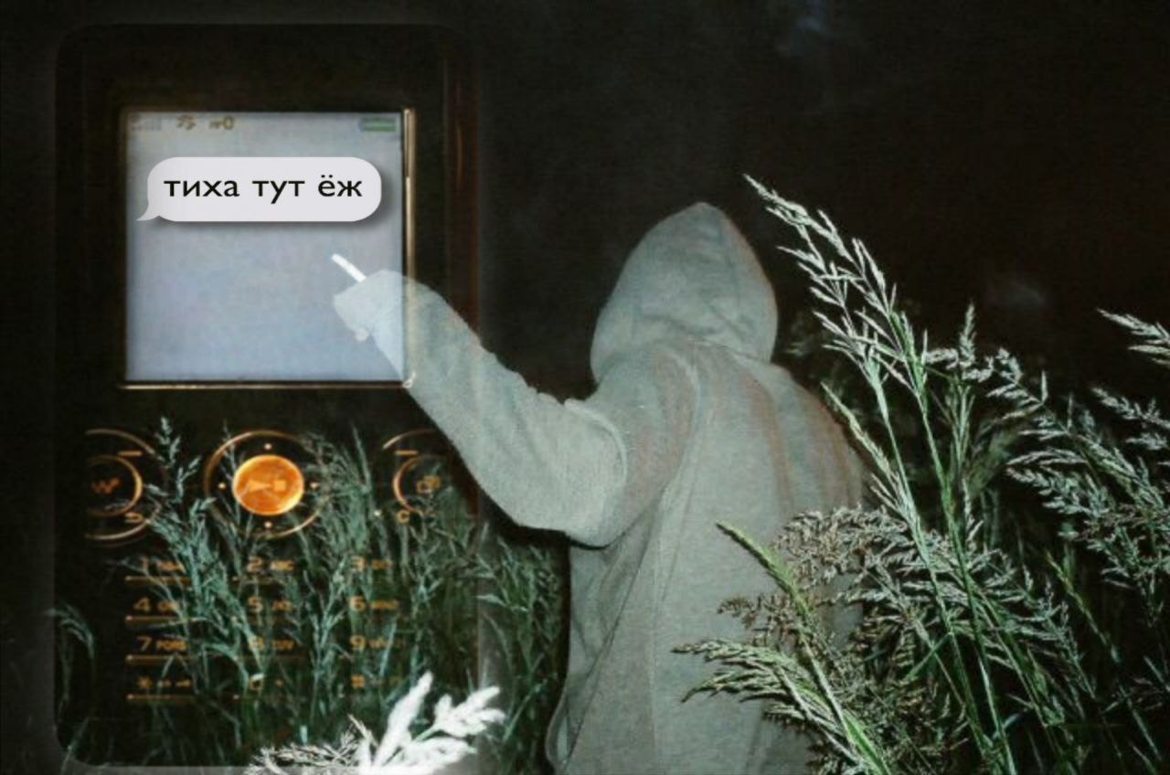 тиха тут