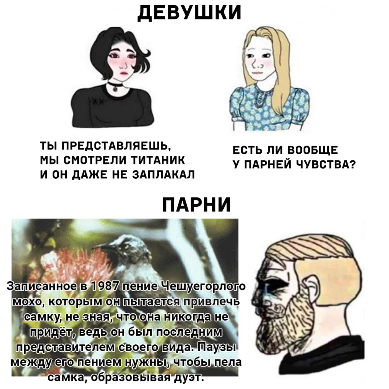 ТЫ ПРЕДСТАВЛЯЕШЬ, ЕСТЬ ЛИ ВООБЩЕ МЫ СМОТРЕЛИ ТИТАНИК У ПАРНЕЙ ЧУВСТВА? И ОН ДАЖЕ НЕ ЗАПЛАКАЛ Записанное 64957 mene lctuyer Opngyo Я Moxo, которым онпьтается вль- 5 < самку, незнаяйчтоона никогда Hel i