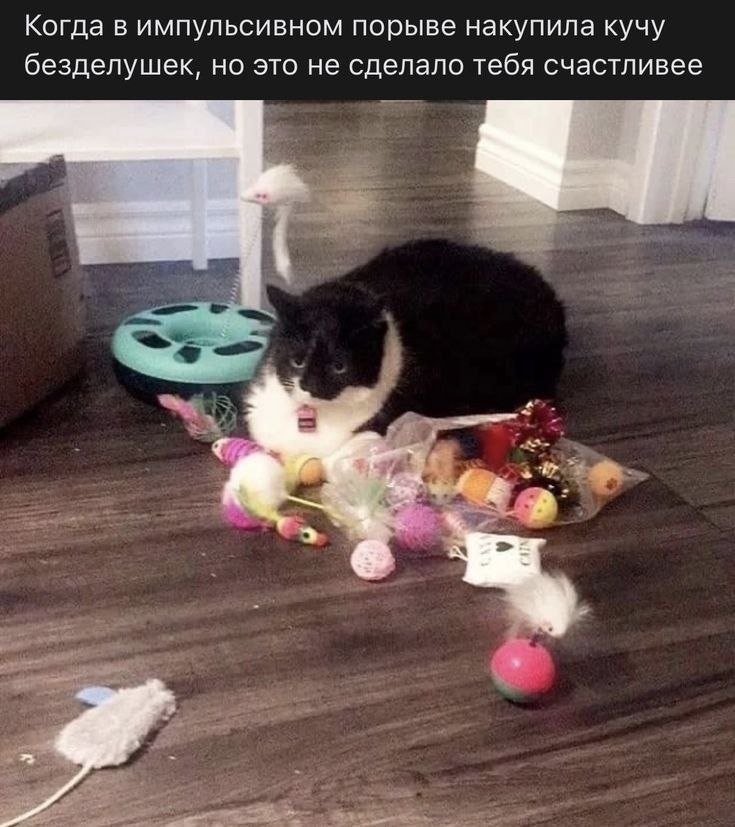 Когда в импульсивном порыве накупила кучу безделушек, но это не сделало тебя счастливее